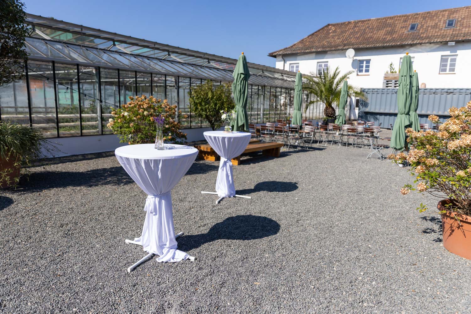 hochzeitslocations heidelberg wilhelmsgut